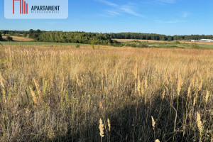 Działka na sprzedaż 664m2 chodzieski Margonin - zdjęcie 3