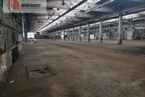 Komercyjne do wynajęcia 500m2 Grudziądz - zdjęcie 3