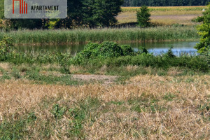 Działka na sprzedaż 3378m2 żniński Rogowo Niedźwiady - zdjęcie 1