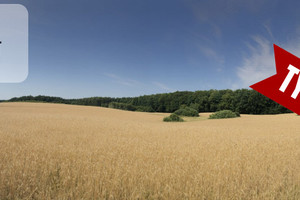 Działka na sprzedaż 28500m2 starogardzki Skarszewy Kamierowskie Piece - zdjęcie 1