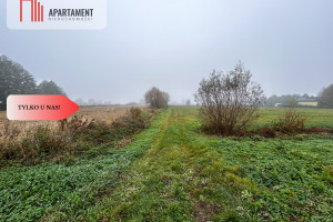 Działka na sprzedaż bydgoski Dąbrowa Chełmińska Dębowiec - zdjęcie 1