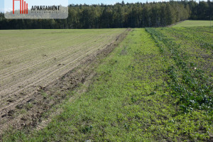 Działka na sprzedaż 900m2 żniński Żnin - zdjęcie 1