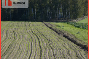 Działka na sprzedaż 900m2 żniński Żnin - zdjęcie 1