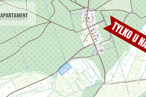 Działka na sprzedaż 10863m2 zielonogórski Bojadła Susłów - zdjęcie 3