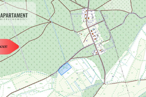 Działka na sprzedaż 10863m2 zielonogórski Bojadła Susłów - zdjęcie 3