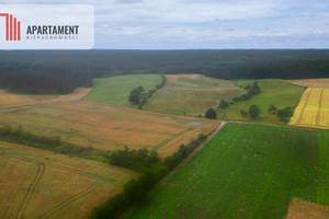 Działka na sprzedaż 3174m2 tczewski Gniew Opalenie - zdjęcie 2