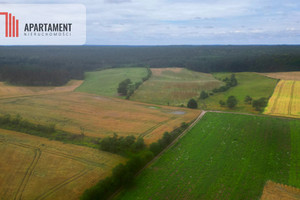 Działka na sprzedaż 3174m2 tczewski Gniew Opalenie - zdjęcie 2