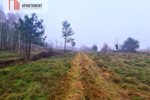 Działka na sprzedaż 1194m2 kartuski Stężyca Sikorzyno - zdjęcie 3