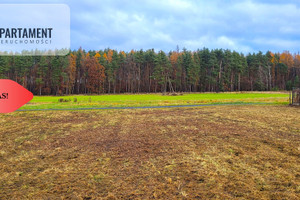 Działka na sprzedaż 3000m2 trzebnicki Zawonia - zdjęcie 4