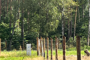 Działka na sprzedaż 854m2 wałecki Wałcz Kłębowiec - zdjęcie 3