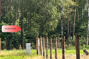 Działka na sprzedaż 854m2 wałecki Wałcz Kłębowiec - zdjęcie 3