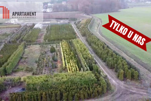 Działka na sprzedaż 17300m2 trzebnicki Prusice Kopaszyn - zdjęcie 2