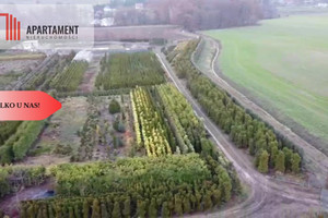 Działka na sprzedaż 17300m2 trzebnicki Prusice Kopaszyn - zdjęcie 2