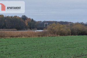 Działka na sprzedaż 4000m2 świecki Jeżewo Jeżewo - zdjęcie 2