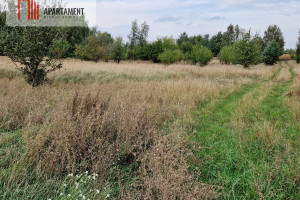 Działka na sprzedaż 2500m2 żniński Rogowo - zdjęcie 3