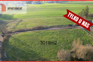 Działka na sprzedaż 3018m2 tczewski Tczew Dalwin - zdjęcie 1