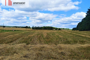 Działka na sprzedaż 3000m2 świecki Osie Miedzno - zdjęcie 3