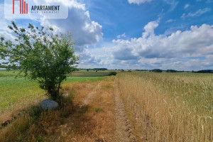 Działka na sprzedaż 35000m2 chojnicki Czersk Łąg - zdjęcie 2