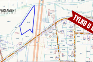 Działka na sprzedaż 6600m2 trzebnicki Wisznia Mała Strzeszowska - zdjęcie 3