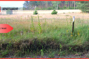 Działka na sprzedaż tucholski Cekcyn Lubińsk - zdjęcie 3