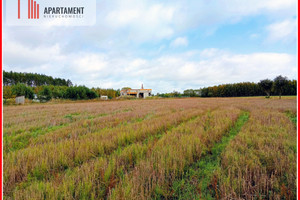 Działka na sprzedaż 5600m2 świecki Bukowiec Branica - zdjęcie 1