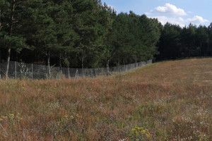 Działka na sprzedaż 3000m2 kościerski Stara Kiszewa Lipy - zdjęcie 2