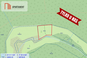 Działka na sprzedaż 2200m2 tucholski Lubiewo Szumiąca - zdjęcie 3