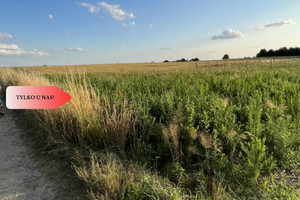 Działka na sprzedaż 815m2 trzebnicki Wisznia Mała Strzeszów - zdjęcie 3