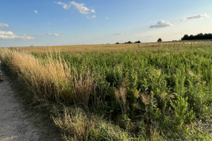 Działka na sprzedaż 815m2 trzebnicki Wisznia Mała Strzeszów - zdjęcie 3