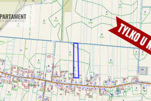 Działka na sprzedaż 7000m2 oławski Jelcz-Laskowice Kopalina Główna - zdjęcie 2