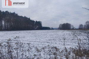 Działka na sprzedaż 24090m2 toruński Zławieś Wielka Toporzysko - zdjęcie 2