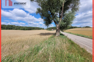 Działka na sprzedaż 3000m2 kościerski Kościerzyna Skorzewo - zdjęcie 1