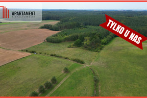 Działka na sprzedaż 46700m2 tczewski Gniew Opalenie - zdjęcie 1