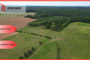 Działka na sprzedaż 46700m2 tczewski Gniew Opalenie - zdjęcie 1