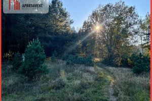 Działka na sprzedaż 705m2 wałecki Wałcz Ostrowiec - zdjęcie 2