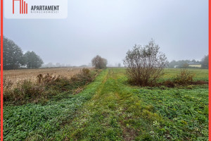 Działka na sprzedaż bydgoski Dąbrowa Chełmińska Dębowiec - zdjęcie 1