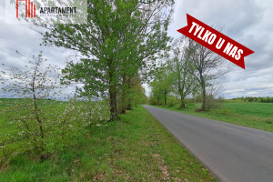 Działka na sprzedaż 3270m2 bydgoski Koronowo Wierzchucin Królewski - zdjęcie 1