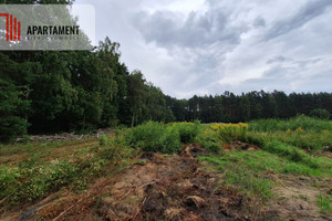 Działka na sprzedaż 3014m2 bydgoski Białe Błota - zdjęcie 2