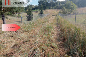 Działka na sprzedaż 2284m2 kwidzyński Sadlinki Białki - zdjęcie 2