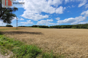 Działka na sprzedaż 3000m2 kościerski Kościerzyna Skorzewo - zdjęcie 3