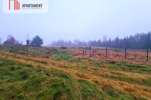 Działka na sprzedaż 1194m2 kartuski Stężyca Sikorzyno - zdjęcie 2