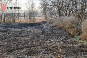 Działka na sprzedaż 2685m2 nakielski Nakło nad Notecią Potulice - zdjęcie 3