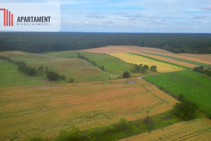 Działka na sprzedaż 3174m2 tczewski Gniew Opalenie - zdjęcie 3