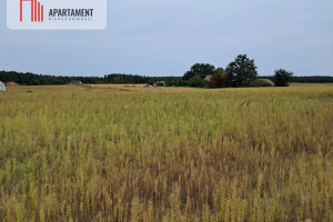 Działka na sprzedaż 3420m2 nakielski Szubin Gąbin - zdjęcie 2