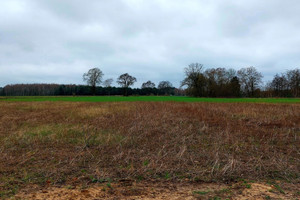 Działka na sprzedaż 1488m2 złotowski Krajenka Żeleźnica - zdjęcie 3