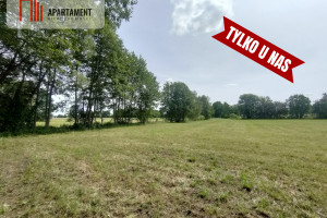 Działka na sprzedaż 2100m2 świecki Bukowiec Bramka - zdjęcie 3