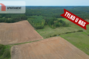 Działka na sprzedaż 46700m2 tczewski Gniew Opalenie - zdjęcie 3