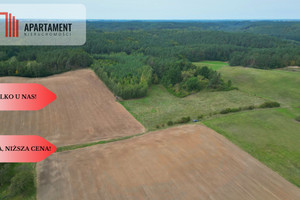 Działka na sprzedaż 46700m2 tczewski Gniew Opalenie - zdjęcie 3