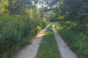 Działka na sprzedaż 1000m2 średzki Miękinia Klęka Leśna - zdjęcie 2