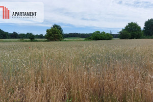 Działka na sprzedaż 1000m2 sępoleński Więcbork Śmiłowo - zdjęcie 3